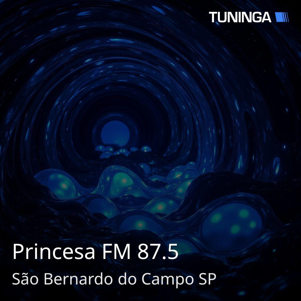Princesa FM 87.5
