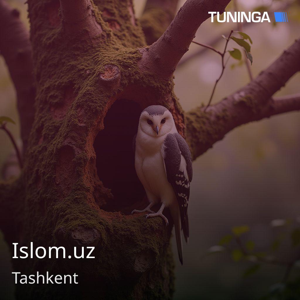 Islom.uz
