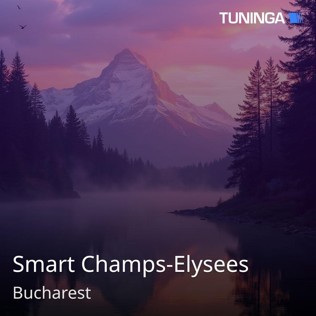 Smart Champs-Elysees