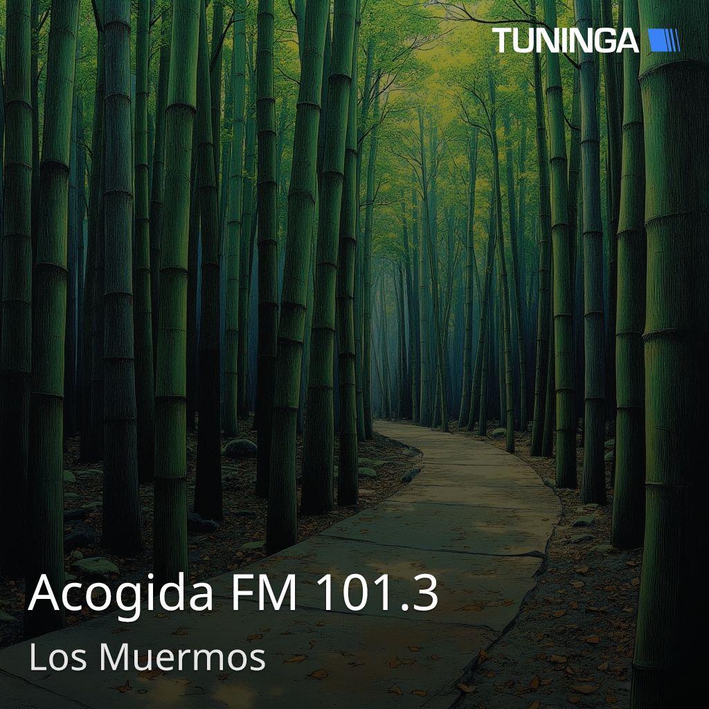 Acogida FM 101.3