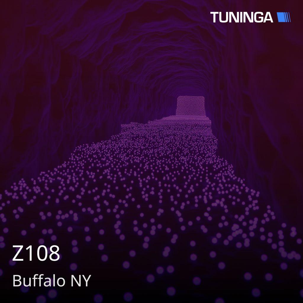 Z108