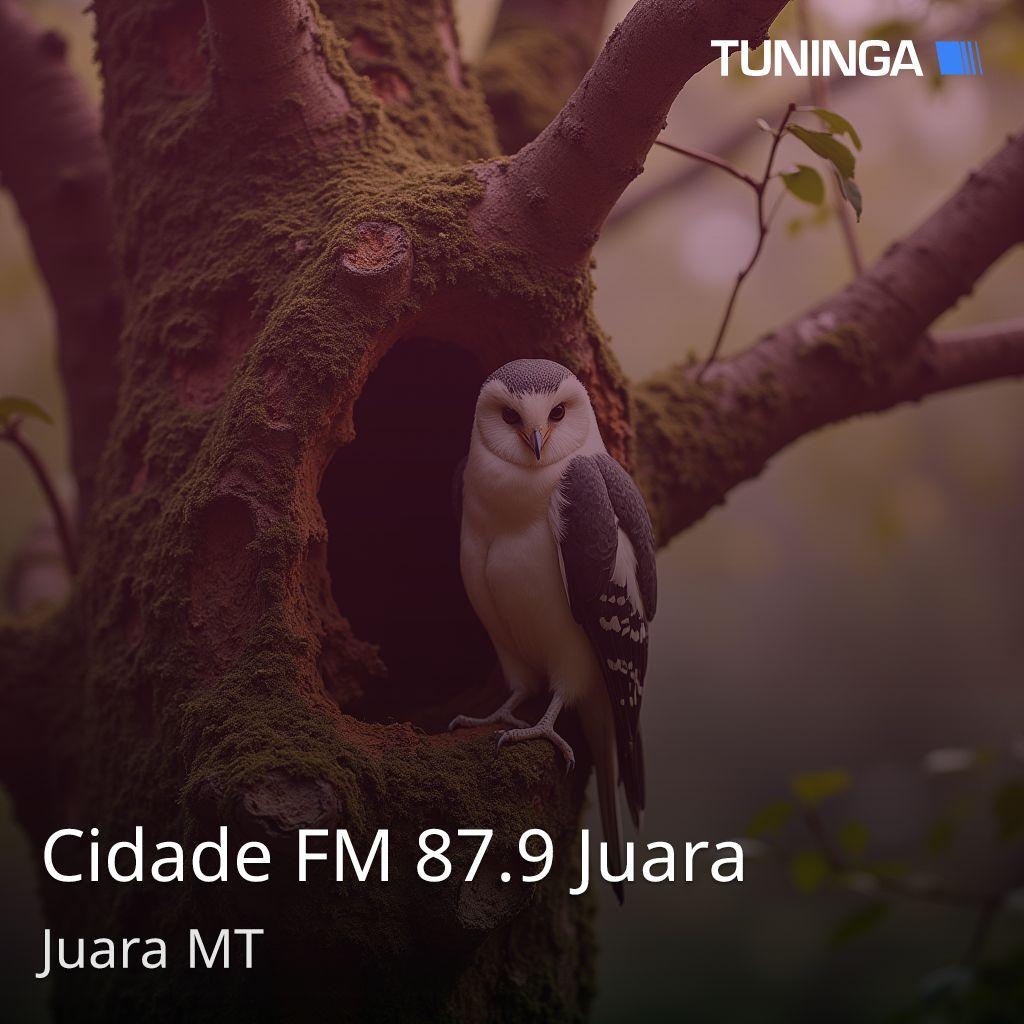 Cidade FM 87.9 Juara