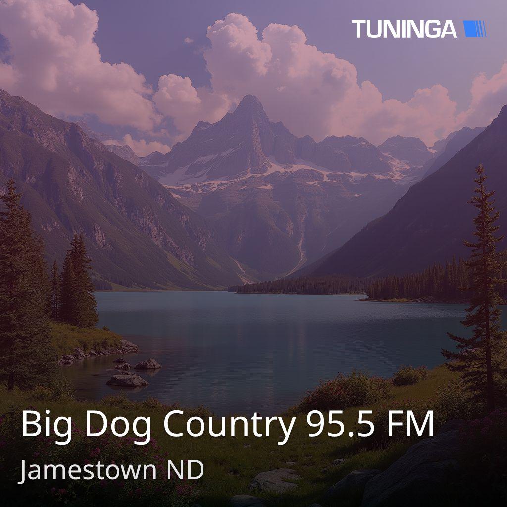Big Dog Country 95.5 FM