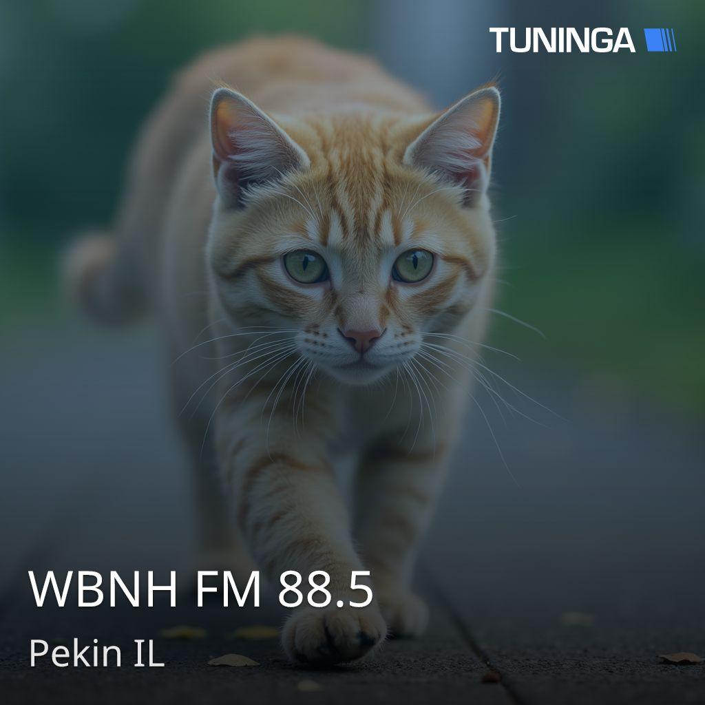 WBNH FM 88.5