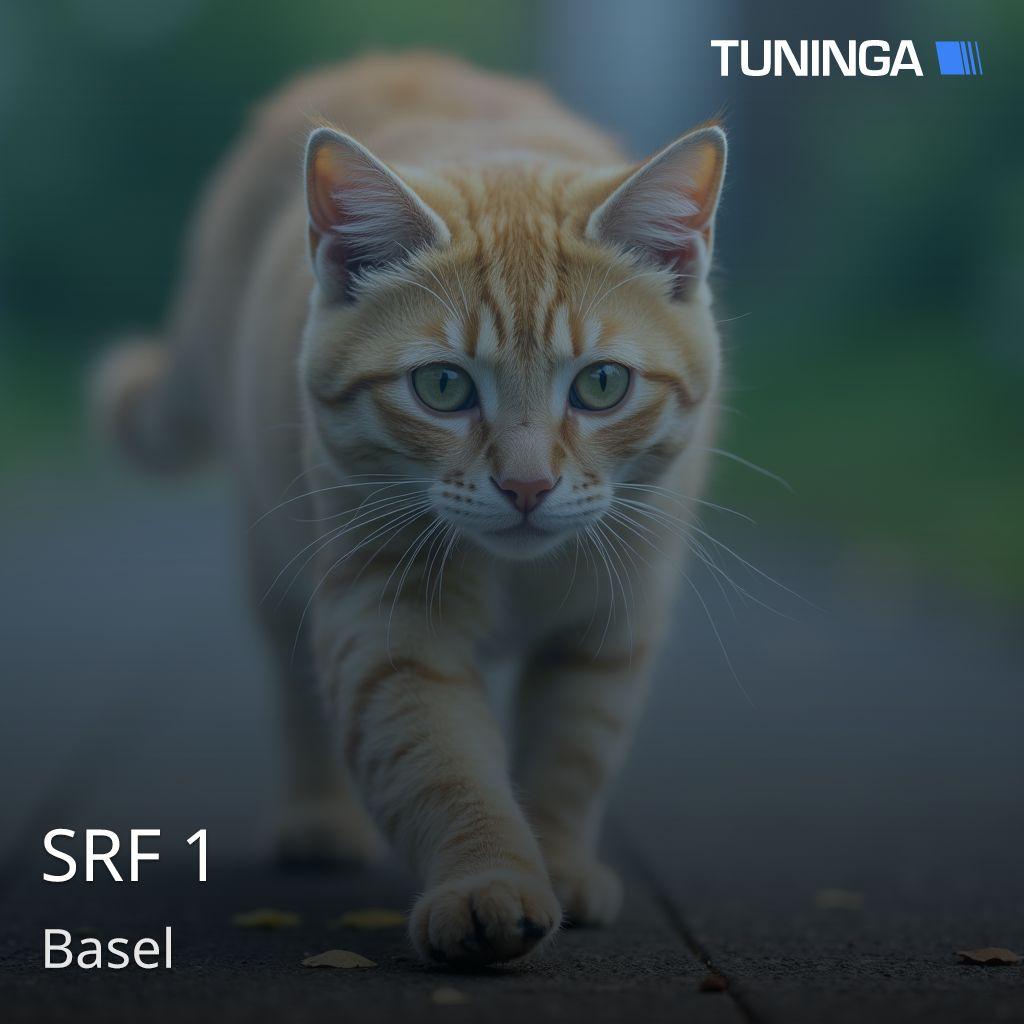 SRF 1
