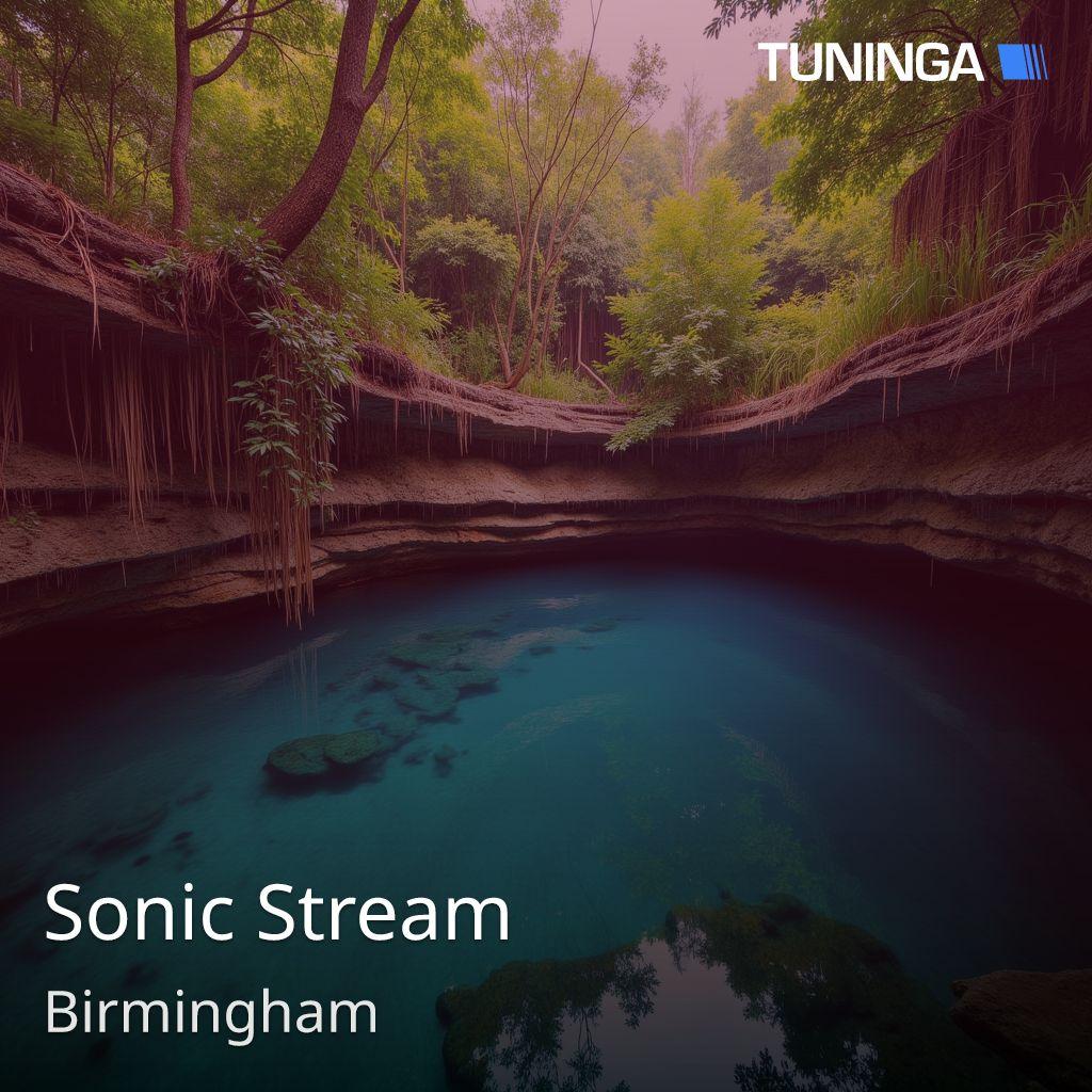 Sonic Stream