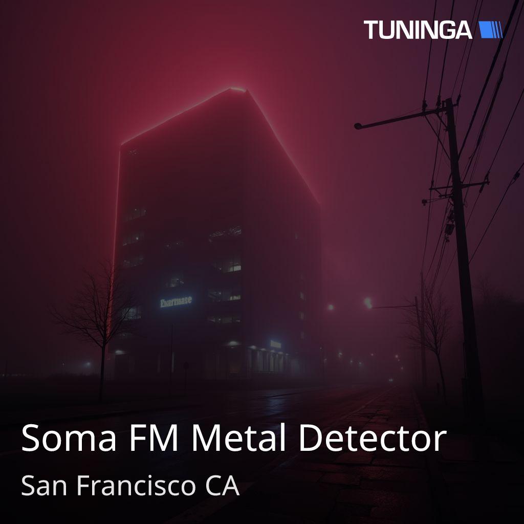 Soma FM Metal Detector