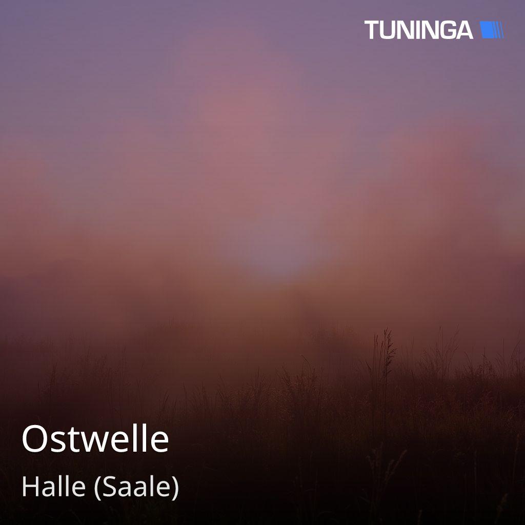 Ostwelle