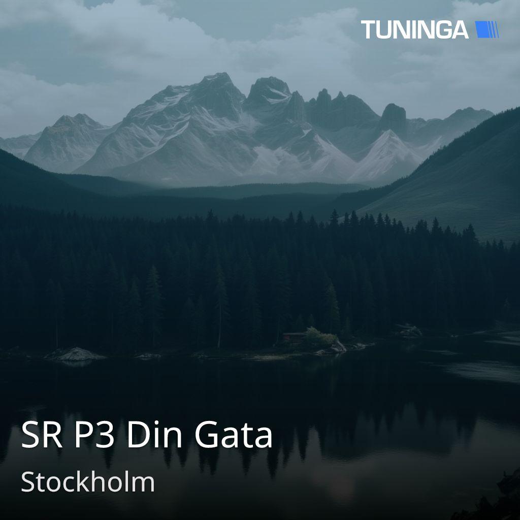 SR P3 Din Gata