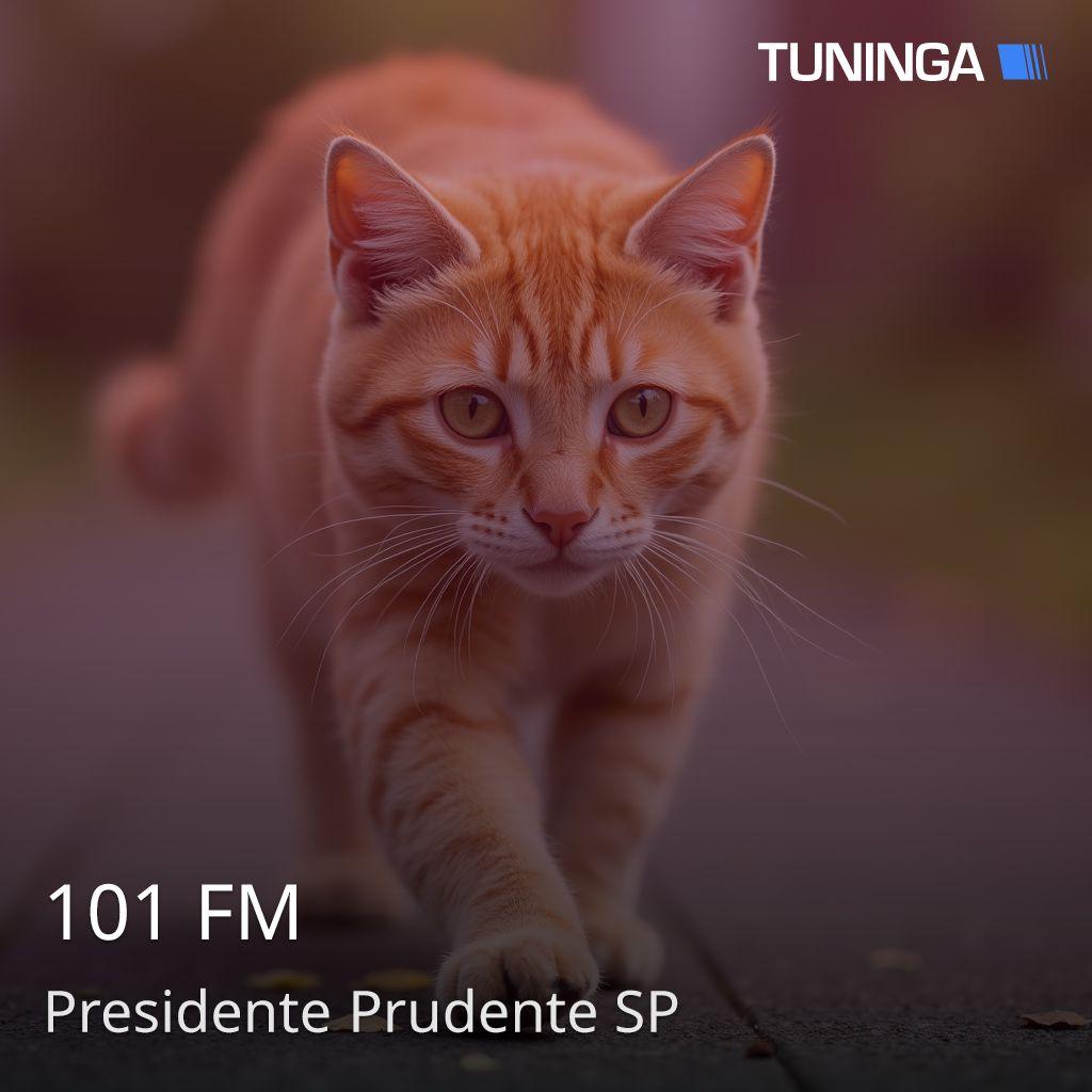 101 FM