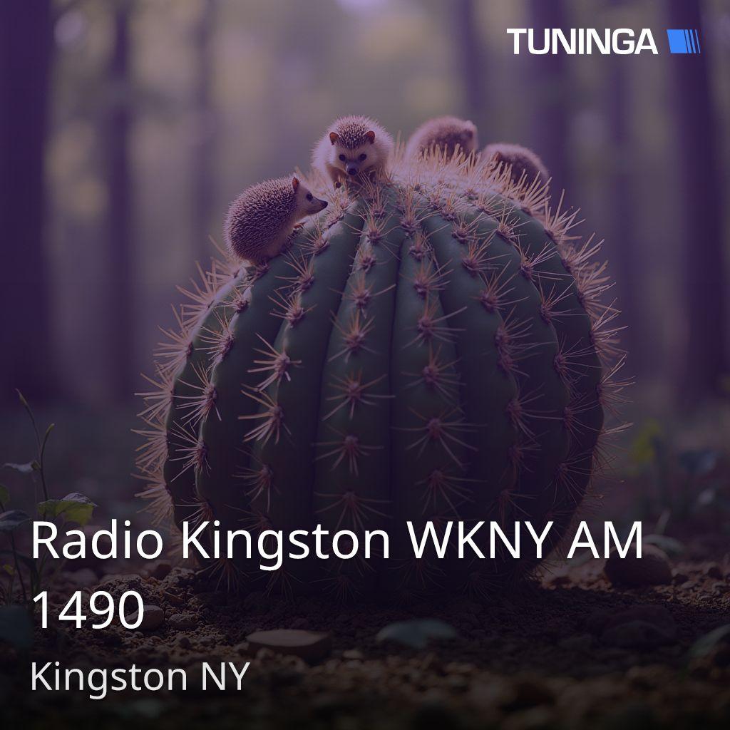 Radio Kingston WKNY AM 1490