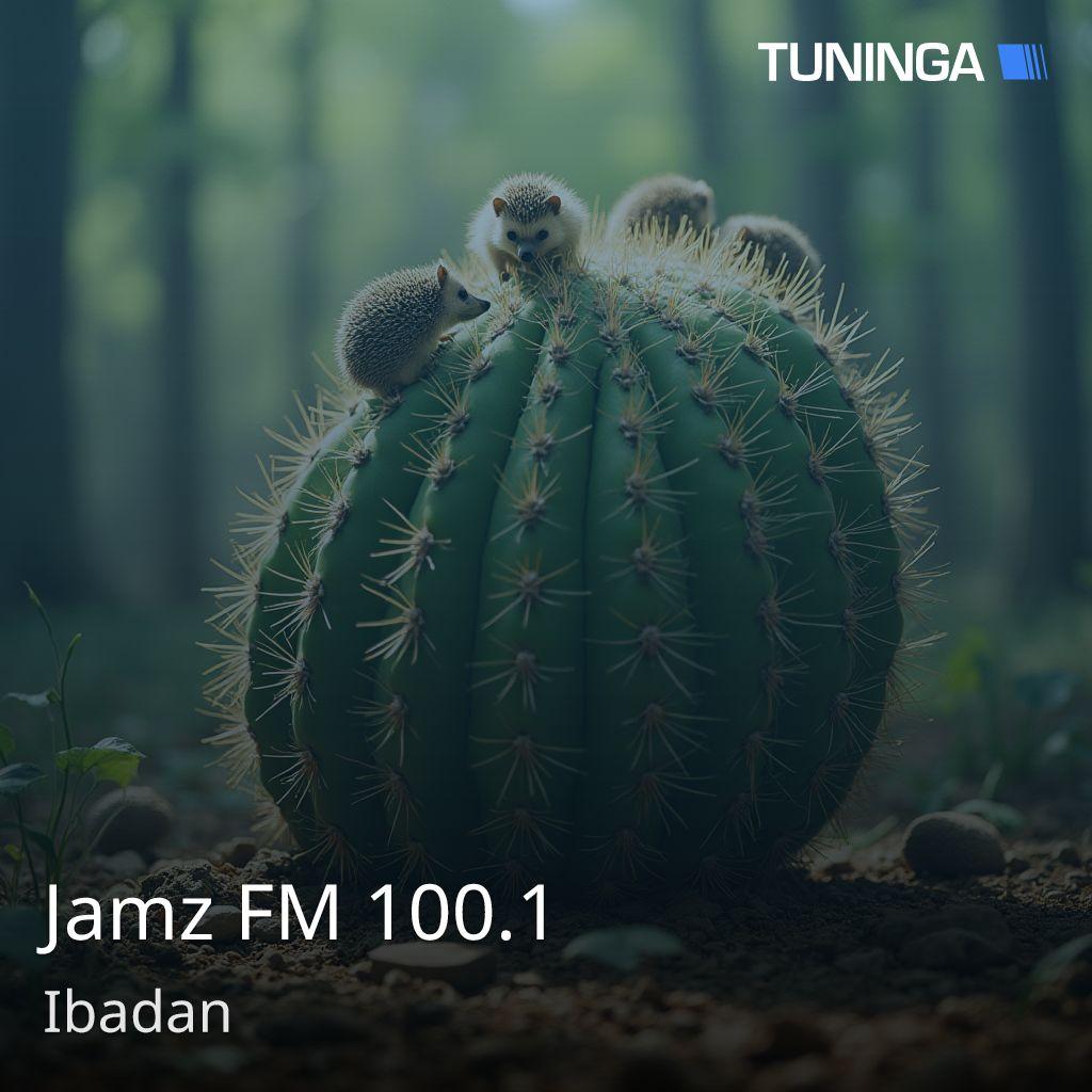 Jamz FM 100.1