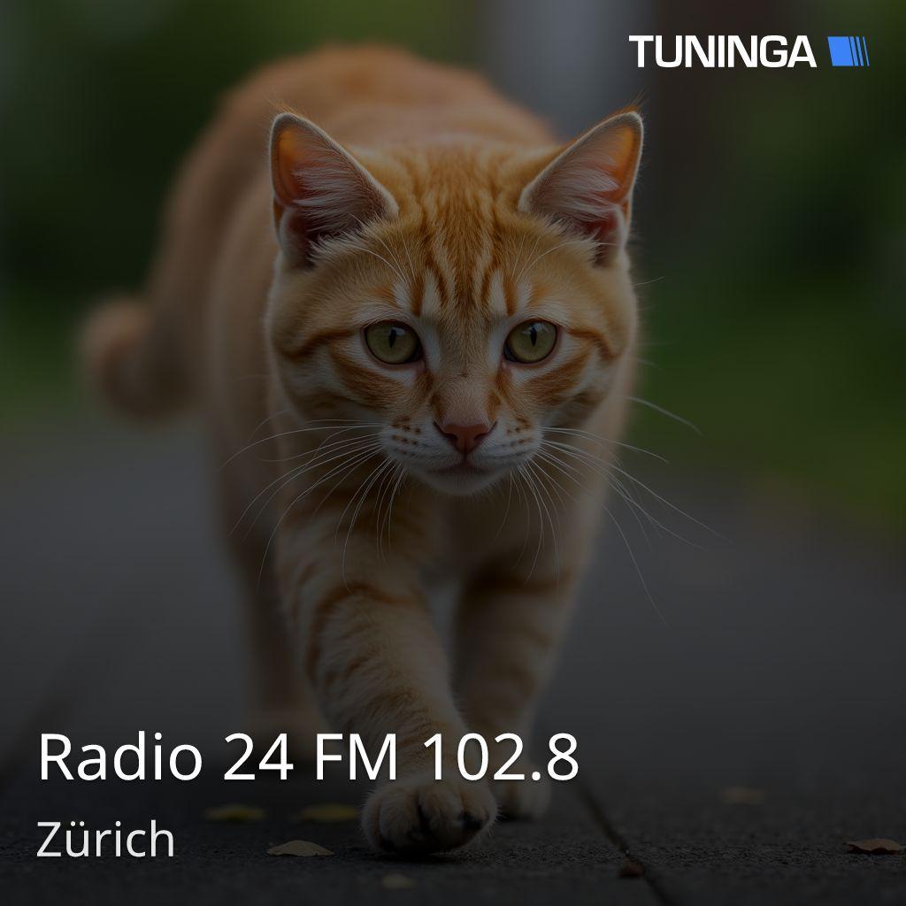 Radio 24 FM 102.8