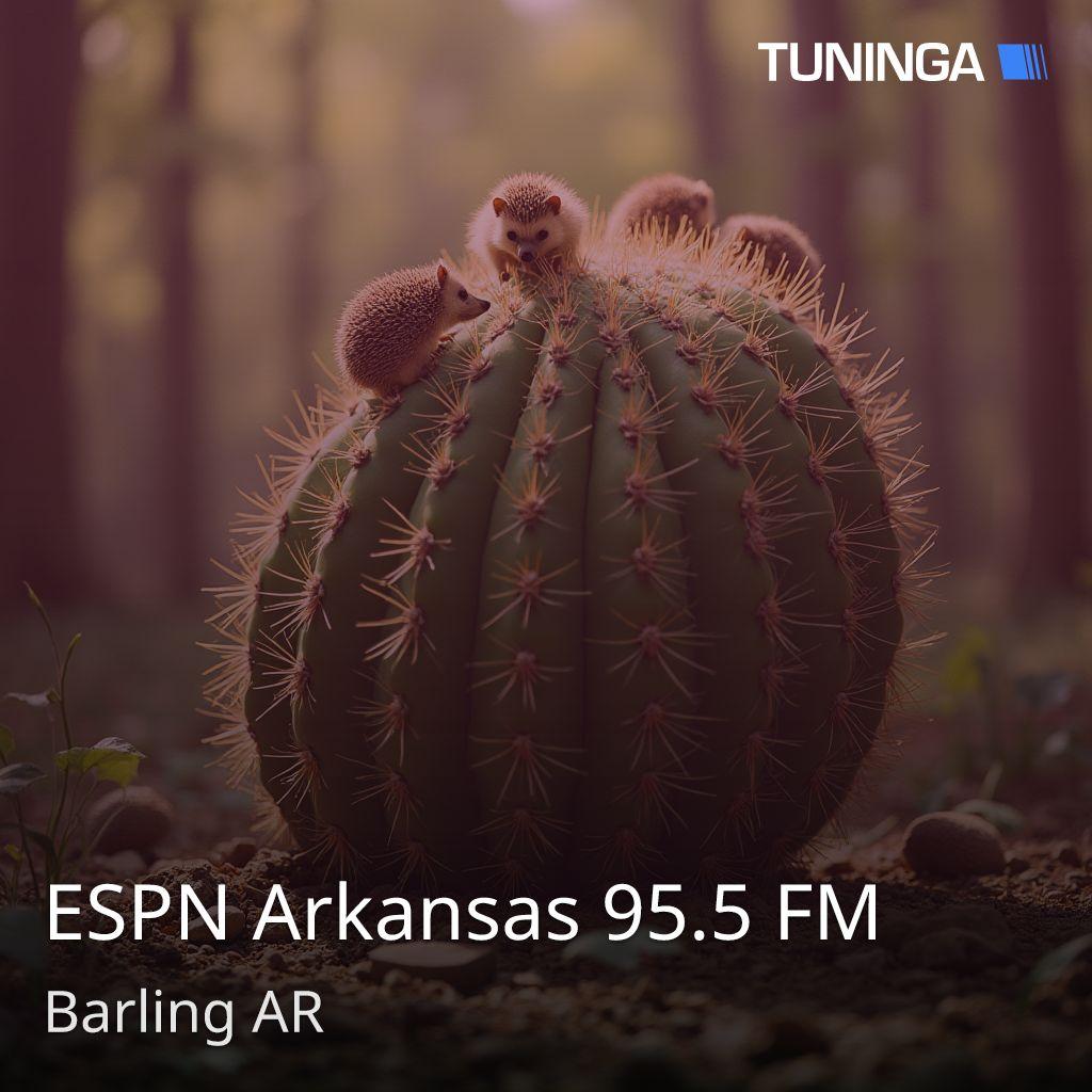 ESPN Arkansas 95.5 FM