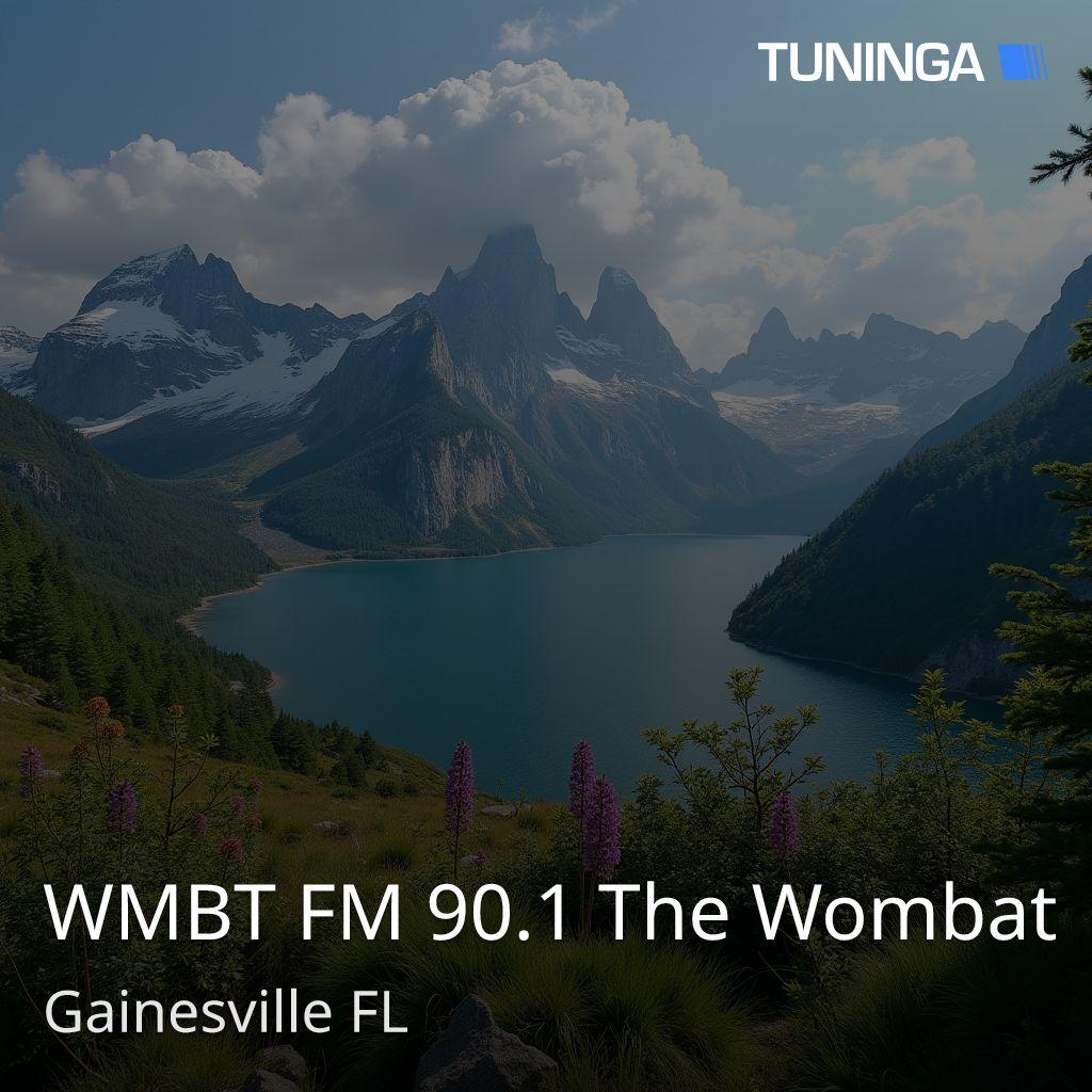 WMBT FM 90.1 The Wombat