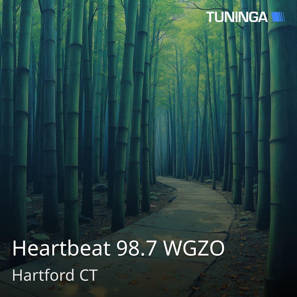 Heartbeat 98.7 WGZO