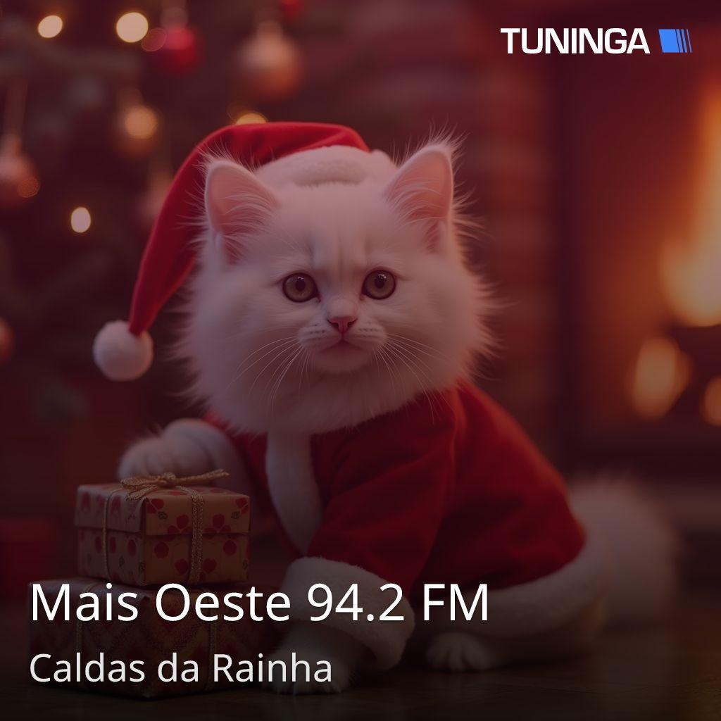 Mais Oeste 94.2 FM