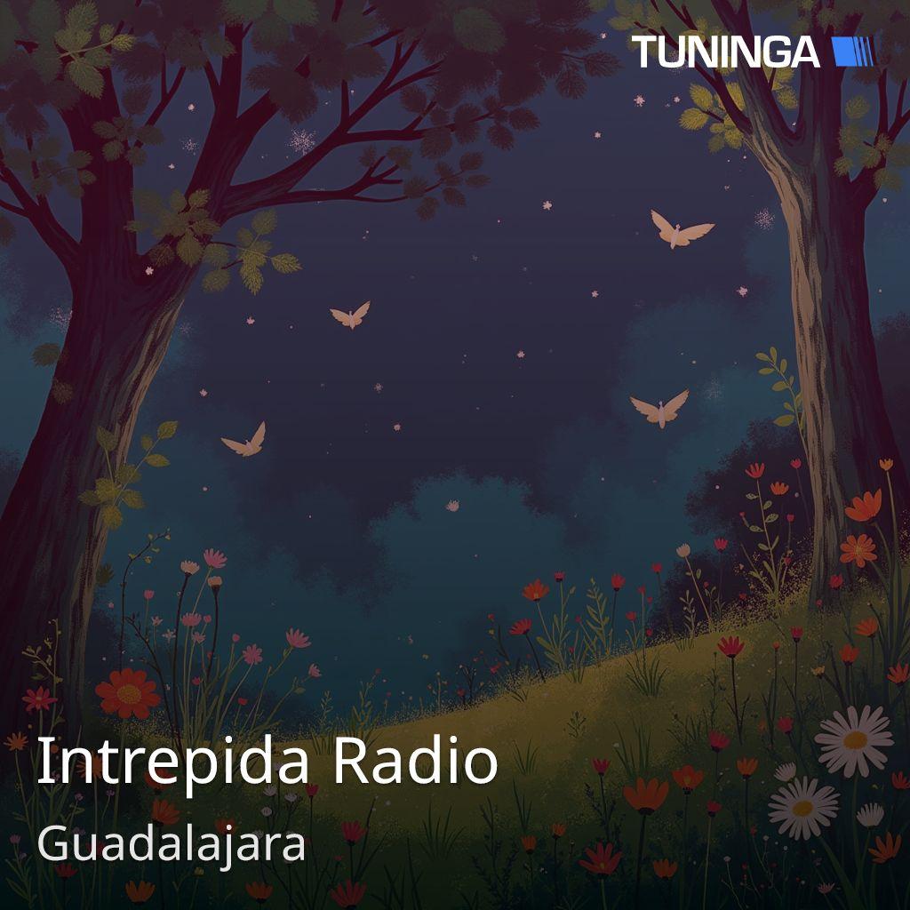 Intrepida Radio