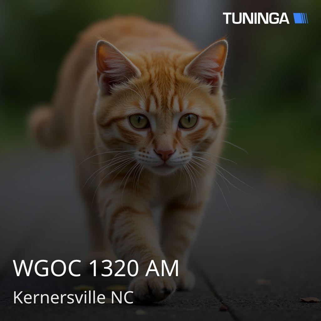 WGOC 1320 AM