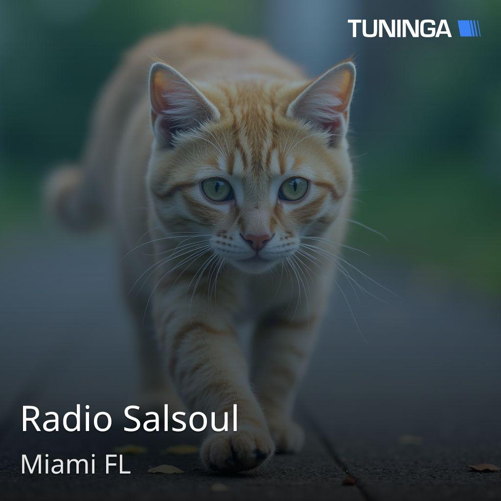 Radio Salsoul