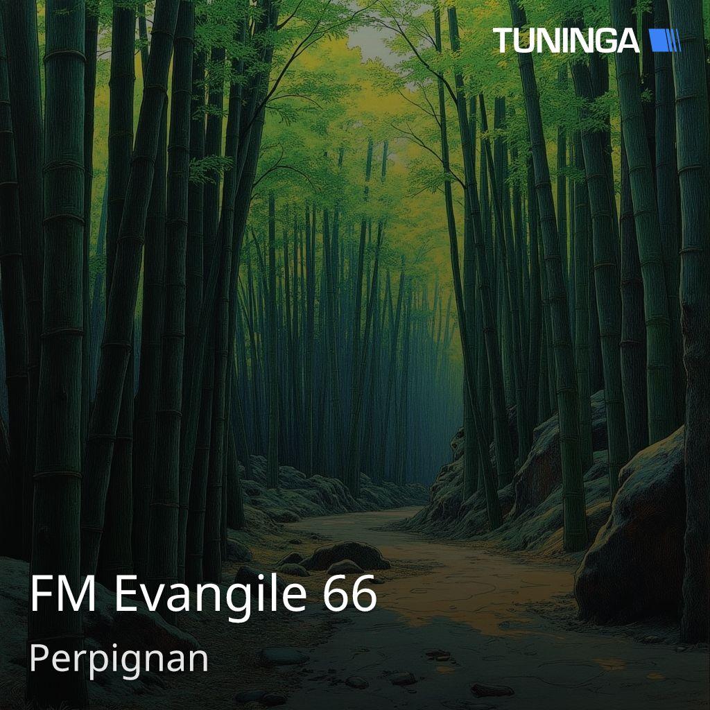 FM Evangile 66