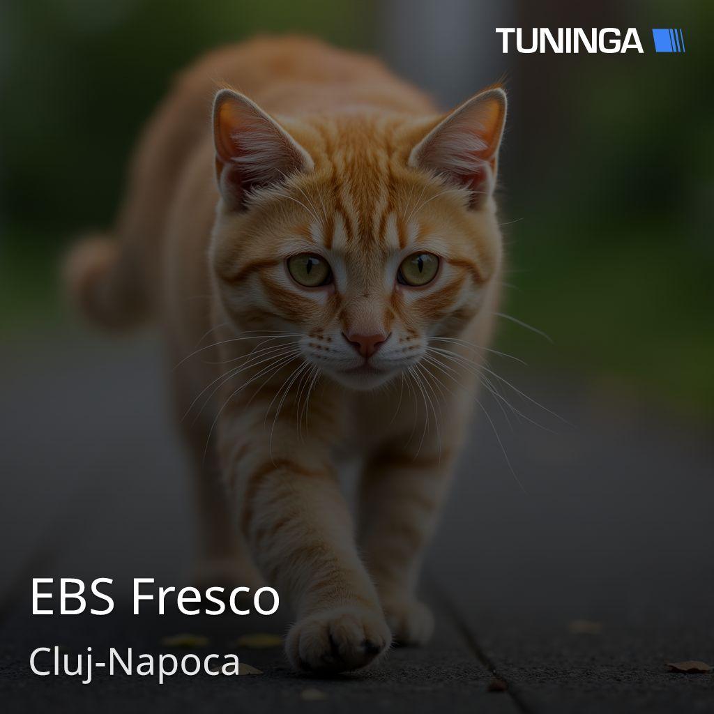 EBS Fresco