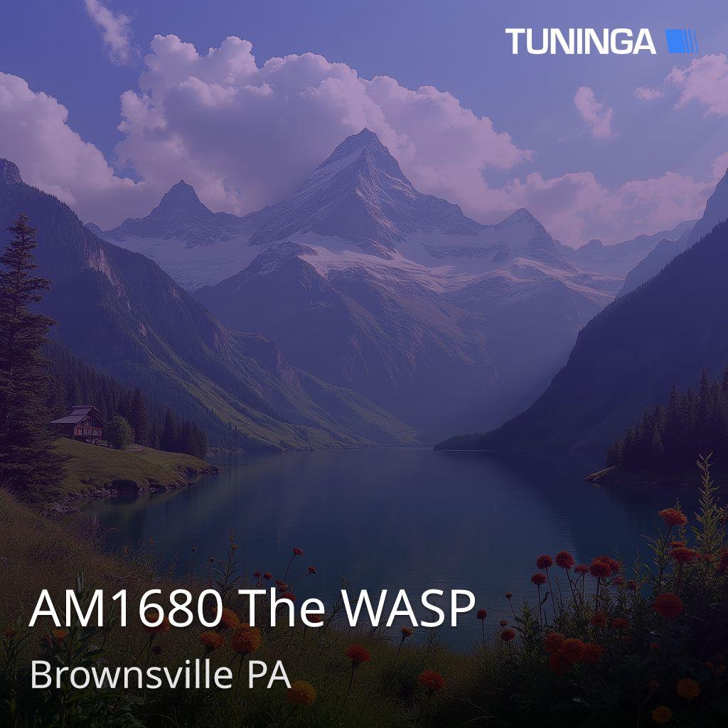 AM1680 The WASP