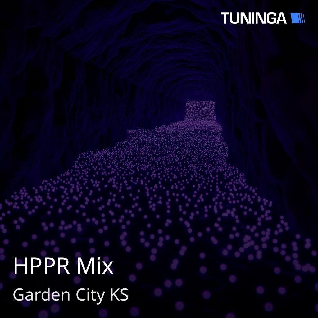 HPPR Mix