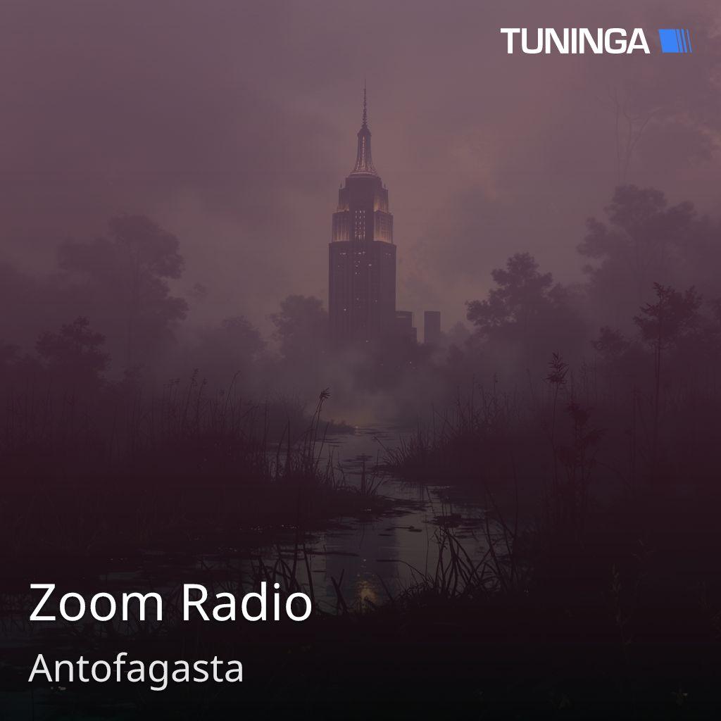 Zoom Radio