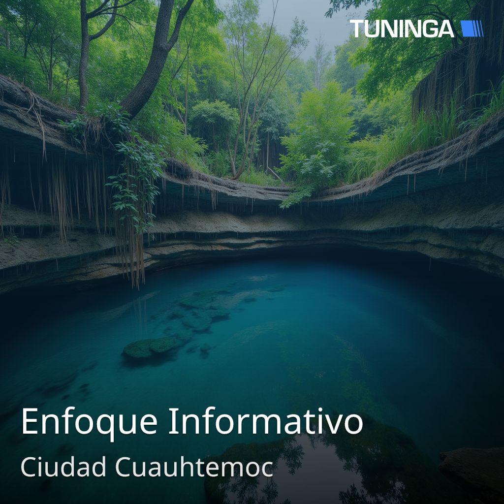 Enfoque Informativo