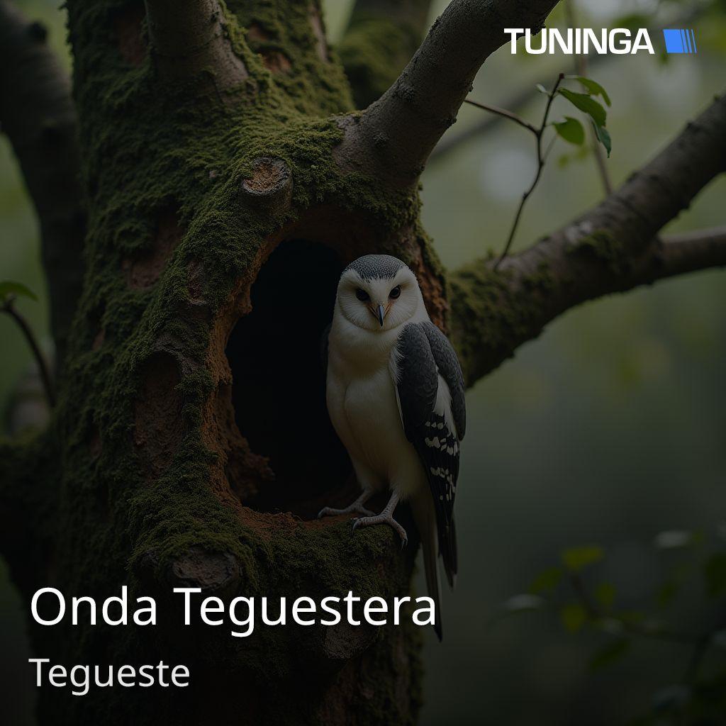 Onda Teguestera