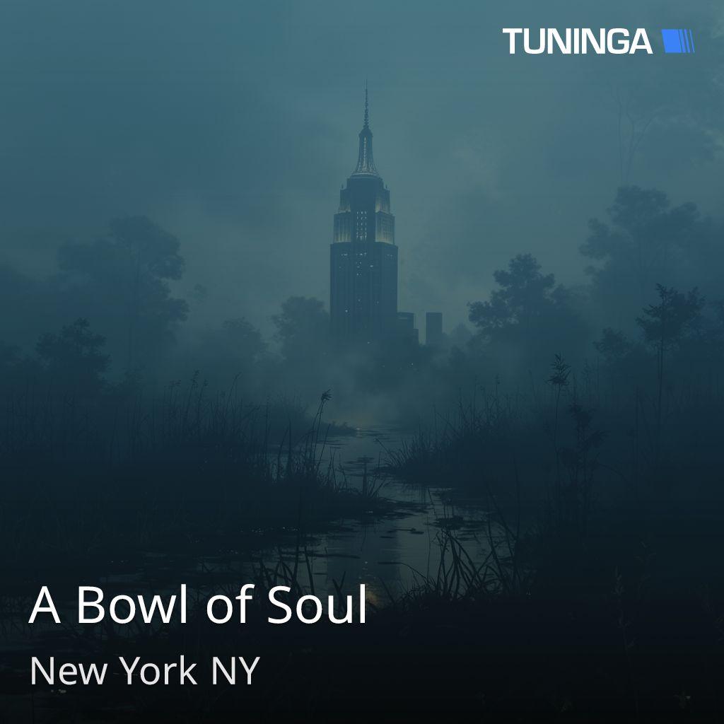 A Bowl of Soul