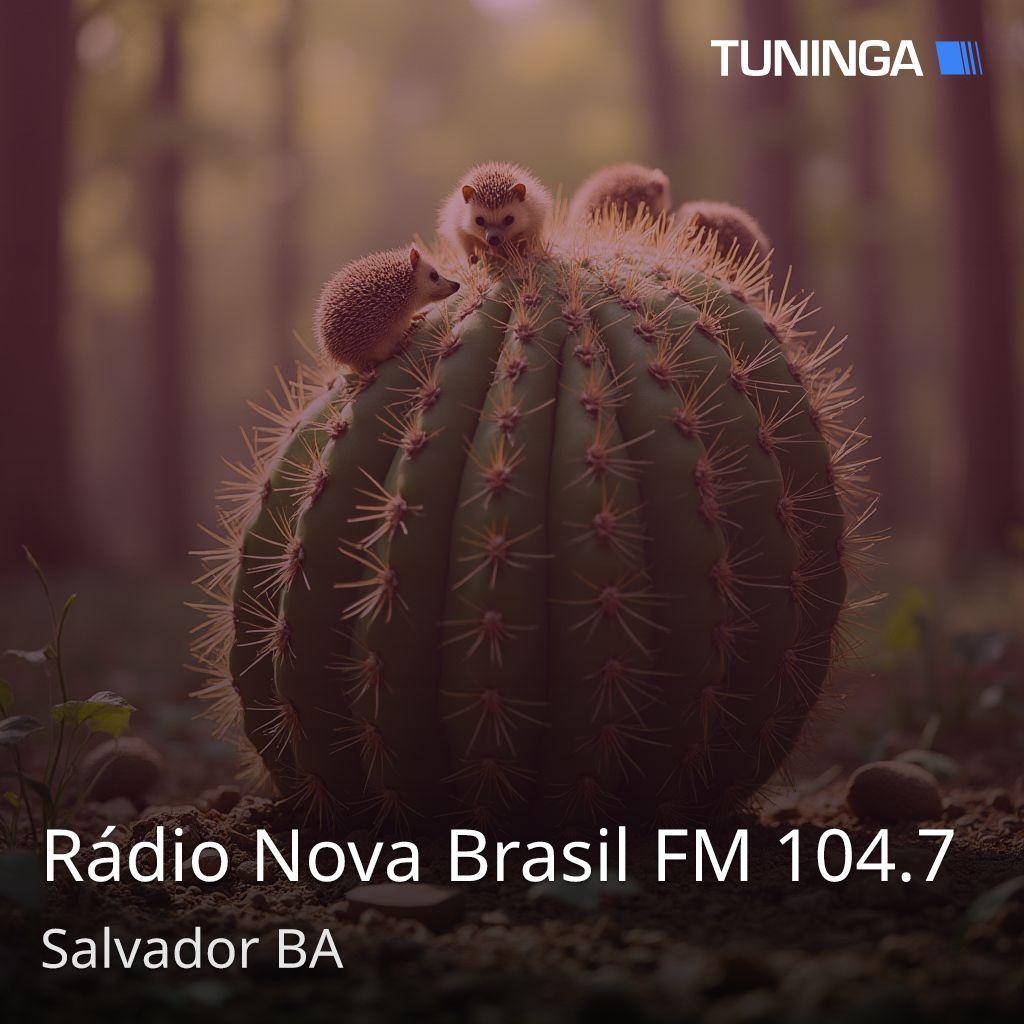 Rádio Nova Brasil FM 104.7
