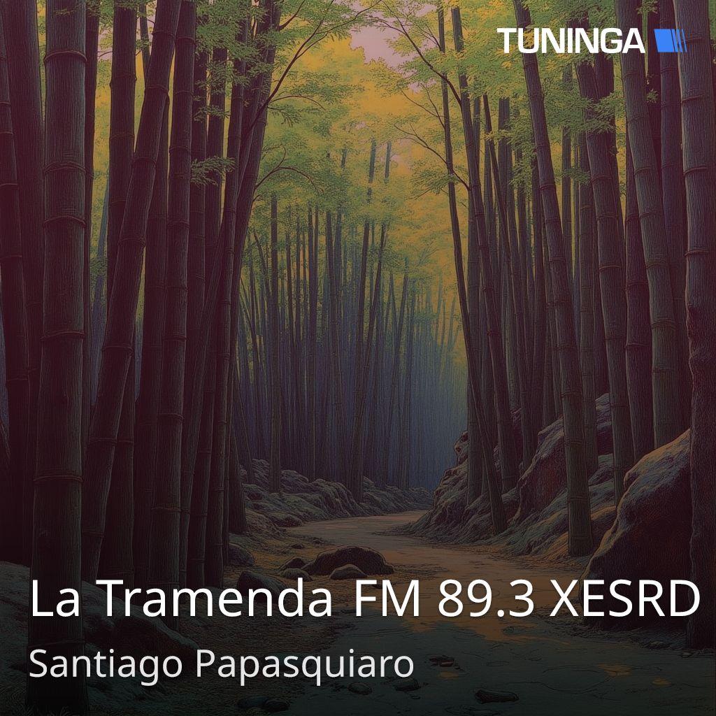 La Tramenda FM 89.3 XESRD