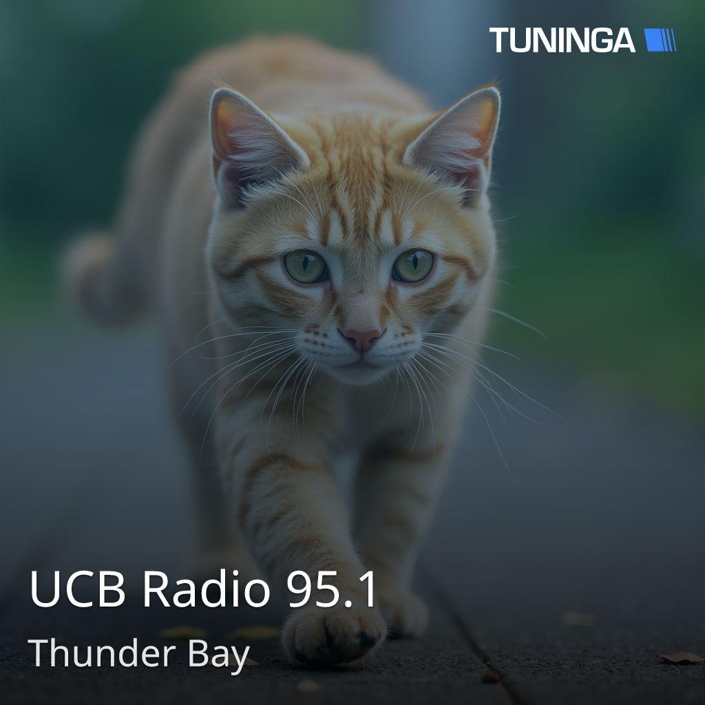 UCB Radio 95.1