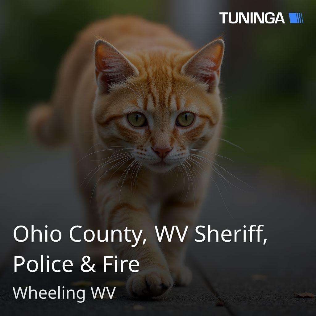 Ohio County, WV Sheriff, Police & Fire