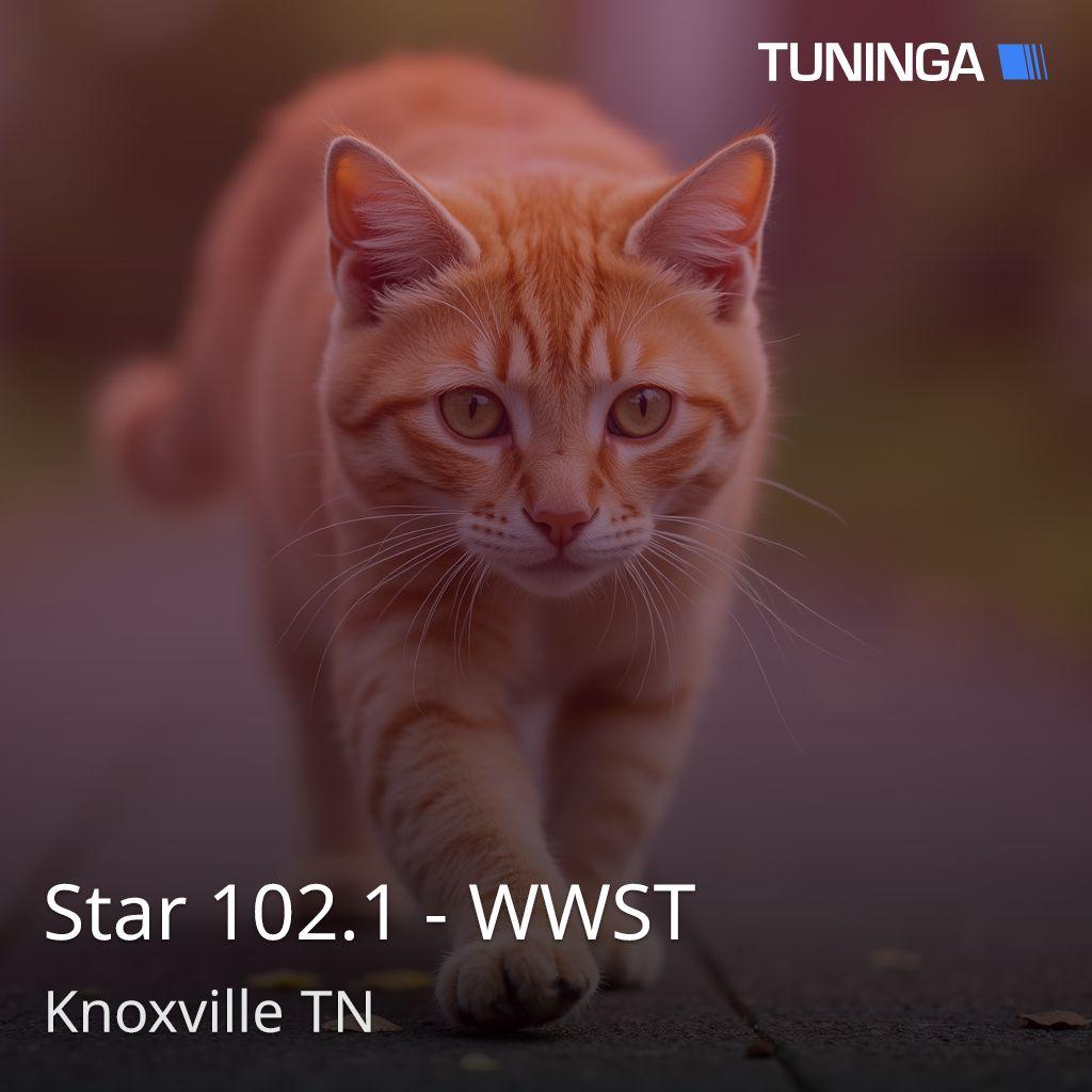 Star 102.1 - WWST