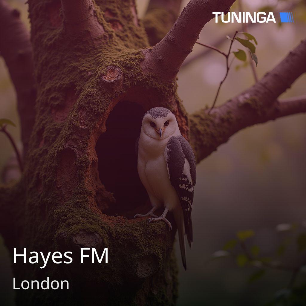 Hayes FM