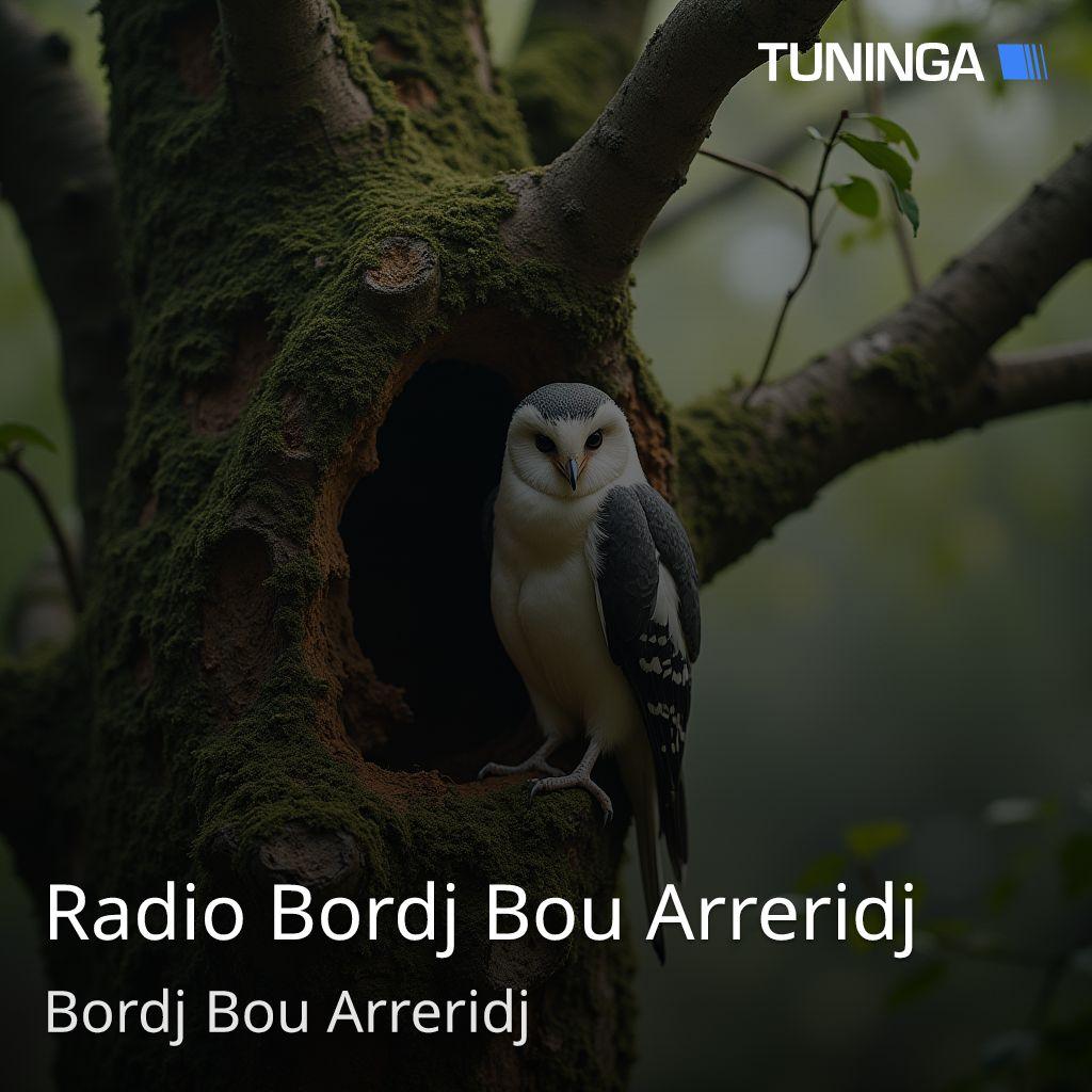 Radio Bordj Bou Arreridj