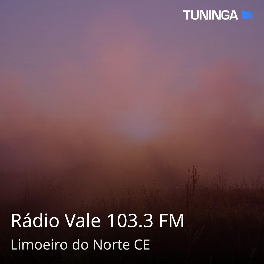 Rádio Vale 103.3 FM