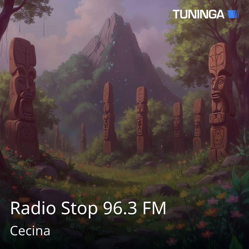 Radio Stop 96.3 FM