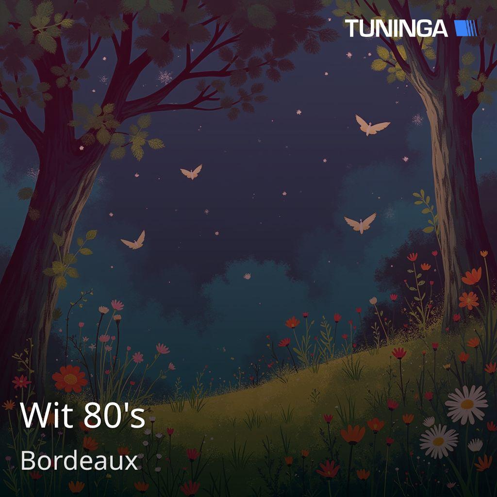 Wit 80's
