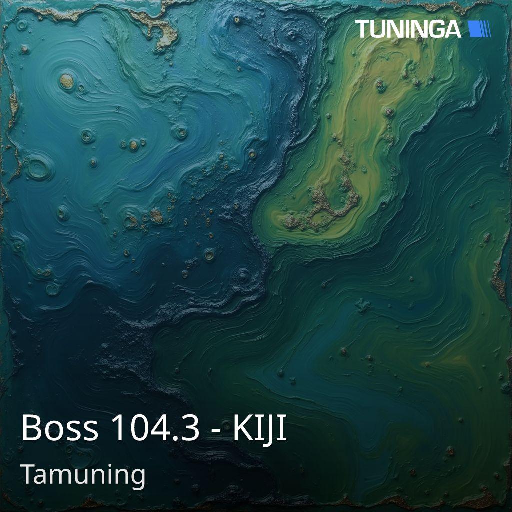 Boss 104.3 - KIJI