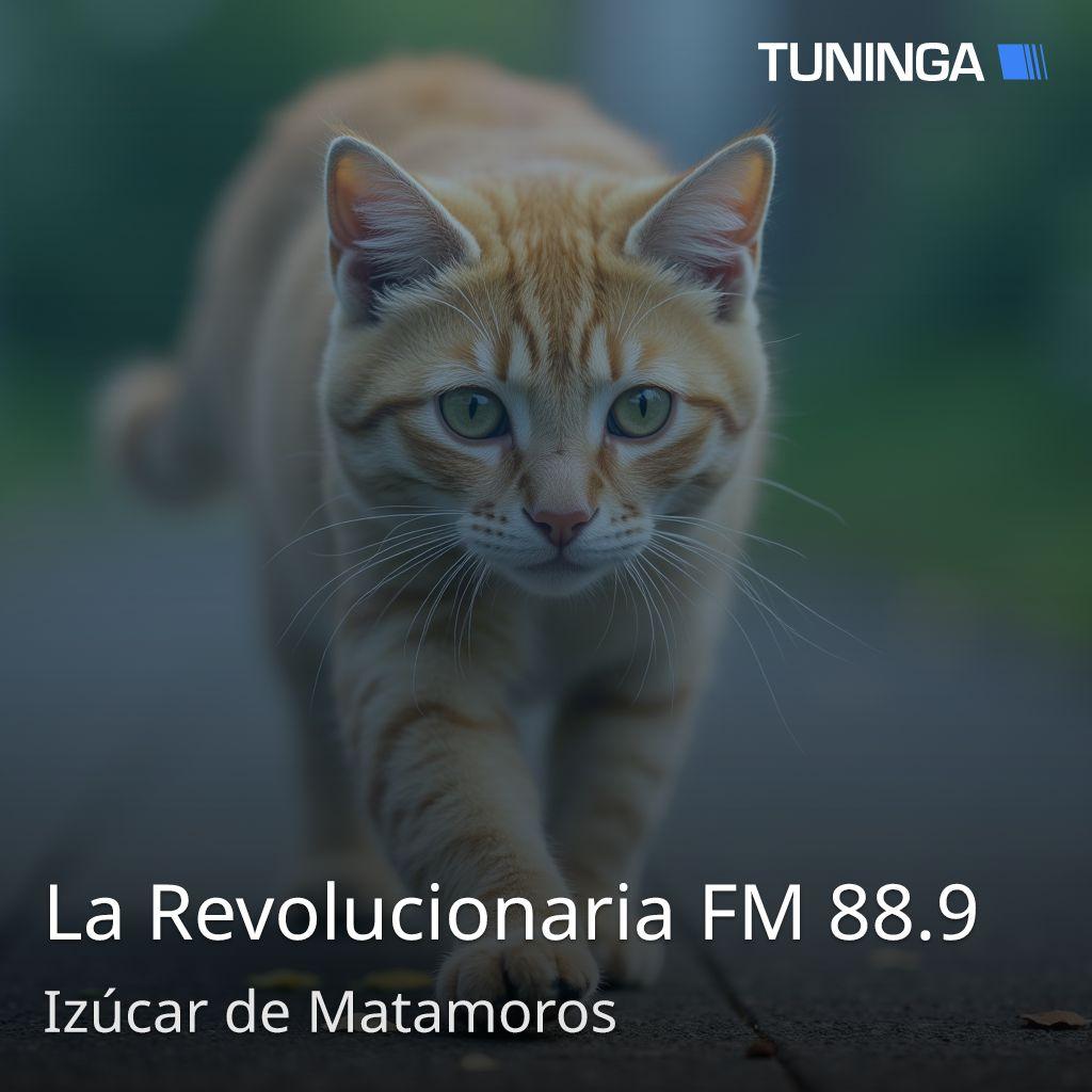 La Revolucionaria FM 88.9