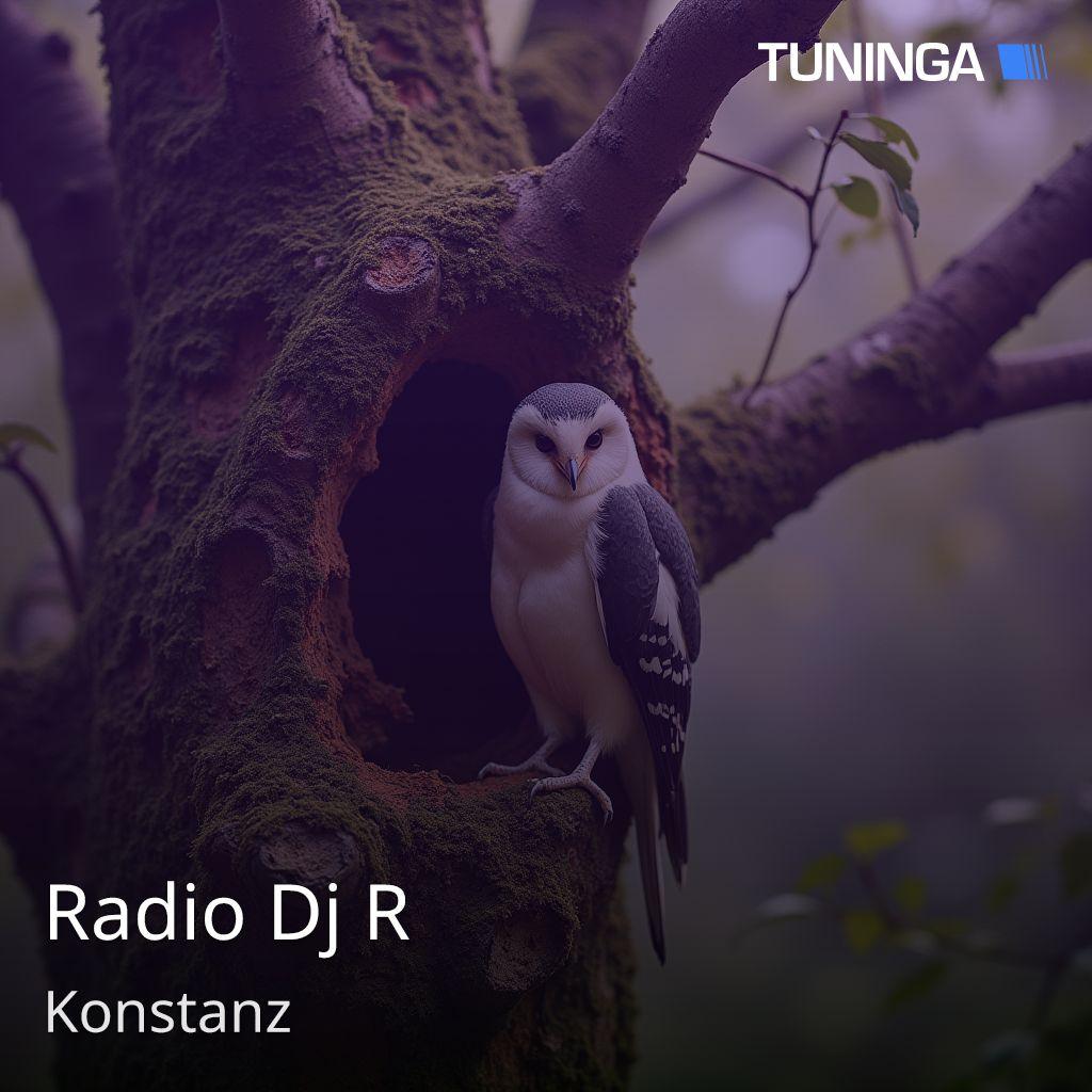 Radio Dj R