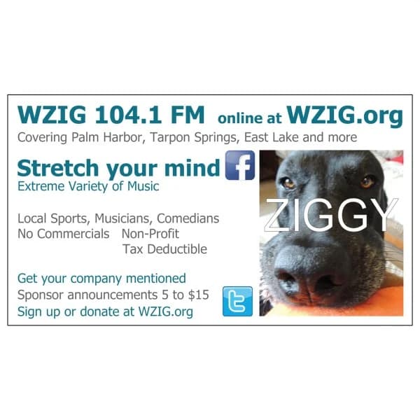 WZIG-LP 104.1
