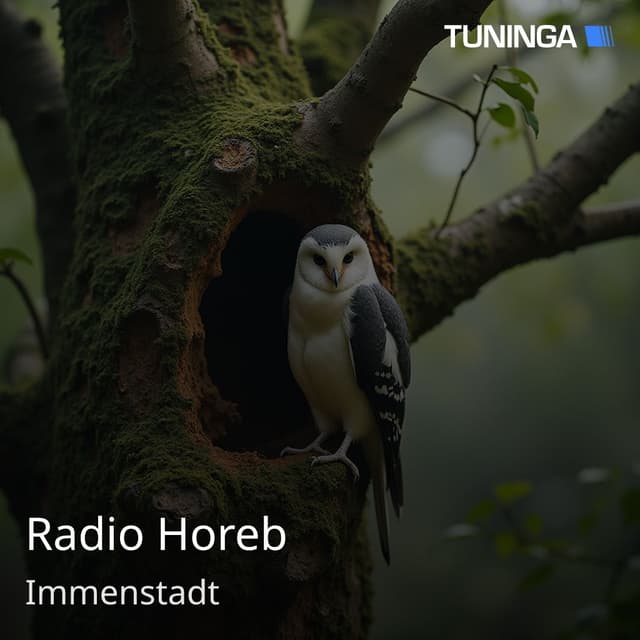 Radio Horeb