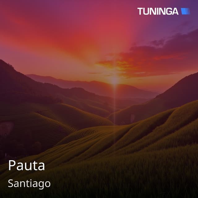 Pauta