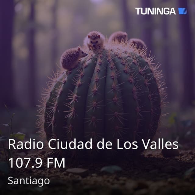 Radio Ciudad de Los Valles 107.9 FM