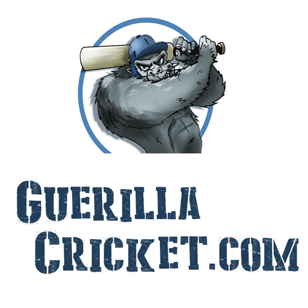 Guerilla Cricket